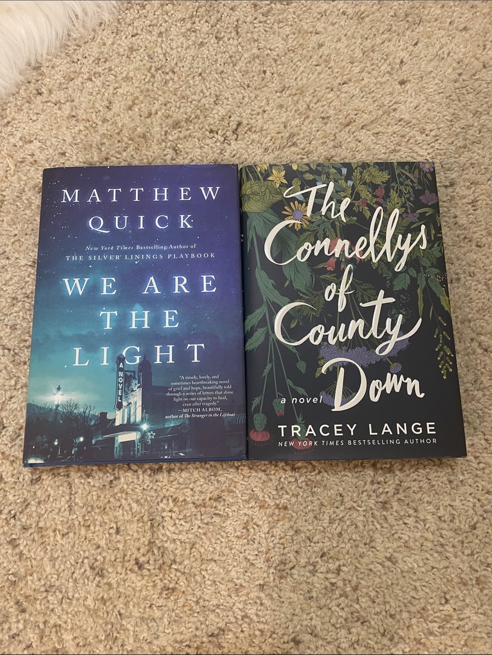 Fiction book bundle : we are the light & we are the brennans